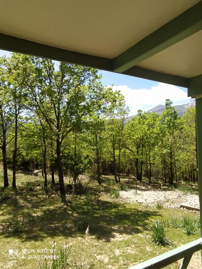 Chalet De Caralba Piscine Villa Ghisoni Eksteriør billede